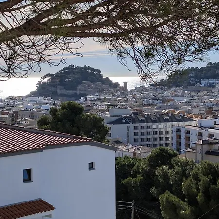 Pau Picasso 3 - Piso En Tossa Con Terraza Y A/a 또사데마르