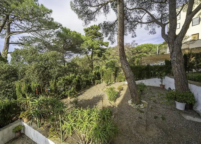 Pau Picasso 3 - Piso En Tossa Con Terraza Y A/a