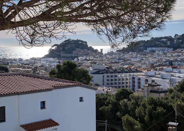 Pau Picasso 3 - Piso En Tossa Con Terraza Y A/a 또사데마르